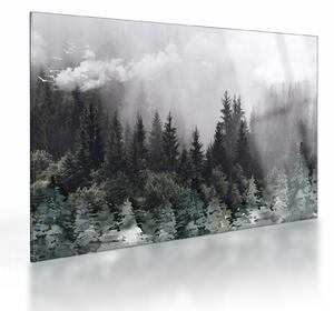 Sklenený obraz - Les s ilustrovanými prvkami (70x50 cm)