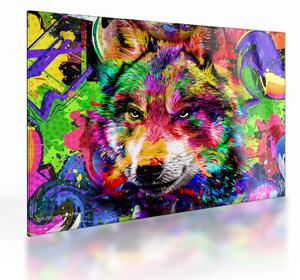 Sklenený obraz - Vlk s graffiti (70x50 cm)