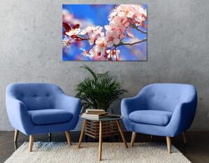 Obraz čerešňový kvet - 60x40