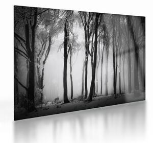 Sklenený obraz - Vlk v temnom lese (70x50 cm)