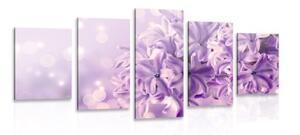 5-dielny obraz fialový kvet orgovánu - 100x50
