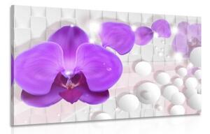 Obraz orchidea na abstraktnom pozadí - 120x80