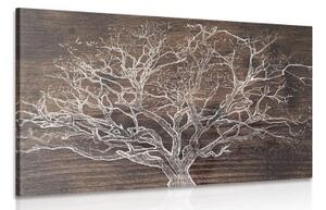 Obraz koruna stromu na drevenom podklade - 90x60