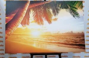 Obraz východ slnka na karibskej pláži - 60x40