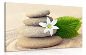 Obraz biely kvet a kamene v piesku - 120x80