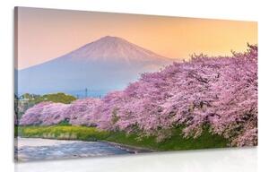 Obraz japonská sopka Fuji - 120x80