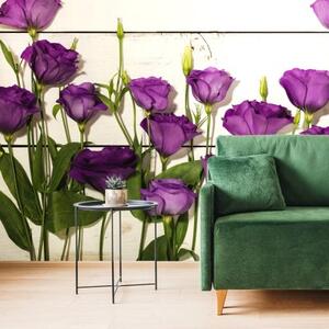 Samolepiaca fototapeta nádherné fialové kvety - 450x300