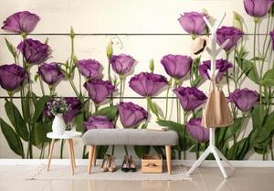 Samolepiaca fototapeta nádherné fialové kvety - 150x100