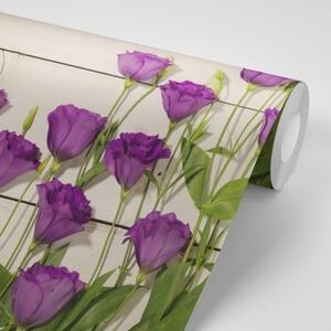 Samolepiaca fototapeta nádherné fialové kvety - 150x100