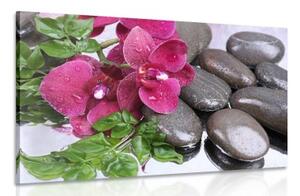 Obraz kvitnúca orchidea a wellness kamene - 90x60