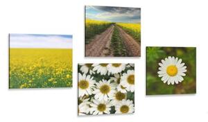 Set obrazov lúka plná kvetov - 4x 40x40