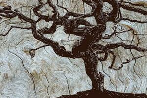 Samolepiaca tapeta abstraktný strom na dreve - 300x200