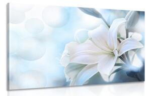 Obraz biely kvet ľalie na abstraktnom pozadí - 90x60