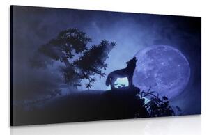 Obraz vlk v splne mesiaca - 60x40