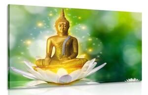 Obraz zlatý Budha na lotosovom kvete - 60x40