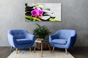 Obraz wellness zátišie s fialovou orchideou - 100x50