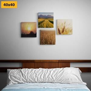 Set obrazov čaro prírody - 4x 40x40