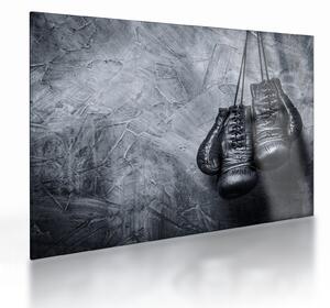 Sklenený obraz - Boxerské rukavice (70x50 cm)