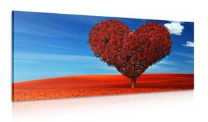 Obraz nádherný strom v tvare srdca - 100x50