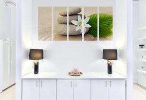 5-dielny obraz biely kvet a kamene v piesku - 100x50