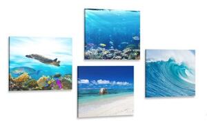 Set obrazov morský svet - 4x 40x40