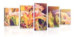 5-dielny obraz krásne kvitnúce kvety v záhrade - 100x50