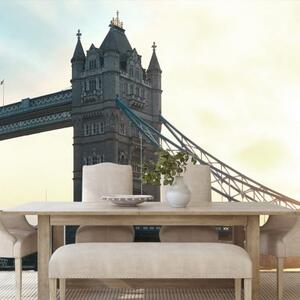 Samolepiaca fototapeta Tower Bridge v Londýne - 450x300