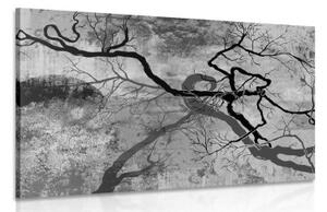 Obraz surrealistické stromy v čiernobielom prevedení - 120x80