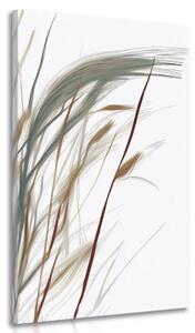 Obraz steblá trávy s nádychom minimalizmu - 50x100