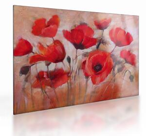 Sklenený obraz - Vlčie maky (70x50 cm)