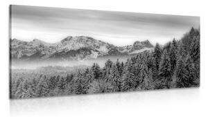 Obraz zamrznuté hory v čiernobielom prevedení - 100x50