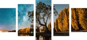 5-dielny obraz strom pod hviezdnou oblohou - 100x50