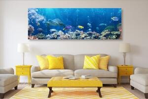 Obraz tropické rybky - 120x40