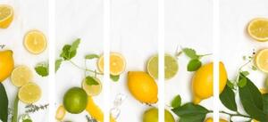 5-dielny obraz zmes citrusových plodov - 100x50