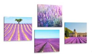 Set obrazov levanduľové pole - 4x 40x40