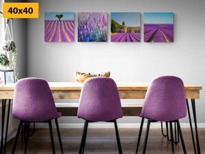 Set obrazov levanduľové pole - 4x 40x40