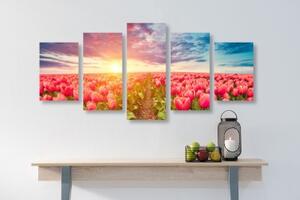 5-dielny obraz východ slnka nad lúkou s tulipánmi - 100x50
