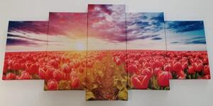 5-dielny obraz východ slnka nad lúkou s tulipánmi - 100x50