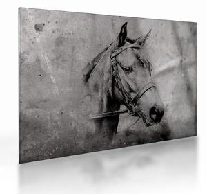 Sklenený obraz - Portrét koňa (70x50 cm)