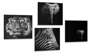 Set obrazov zvieratá v čiernobielom štýle - 4x 40x40