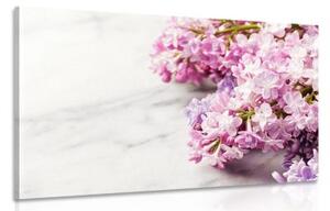 Obraz nádherné kvety na mramorovom podklade - 120x80