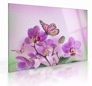 Sklenený obraz - Motýľ na kvetoch orchidey, lila (70x50 cm)
