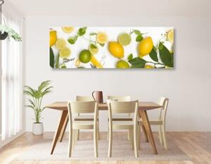 Obraz zmes citrusových plodov - 120x40