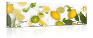 Obraz zmes citrusových plodov - 150x50