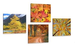 Set obrazov jesenná príroda v nádherných farbách - 4x 40x40