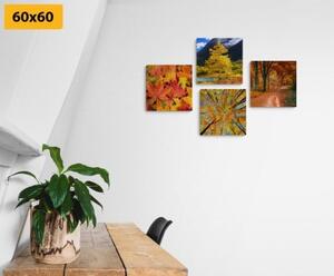 Set obrazov jesenná príroda v nádherných farbách - 4x 40x40