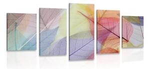 5-dielny obraz žilky na farebných listoch - 100x50