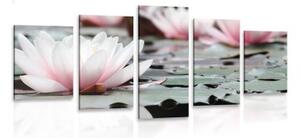 5-dielny obraz lotosový kvet - 100x50