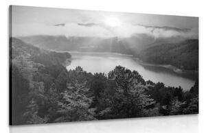 Obraz rieka uprostred lesa v čiernobielom prevedení - 120x80