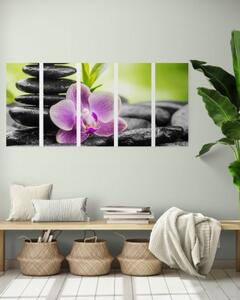 5-dielny obraz tropická Zen kompozícia - 100x50